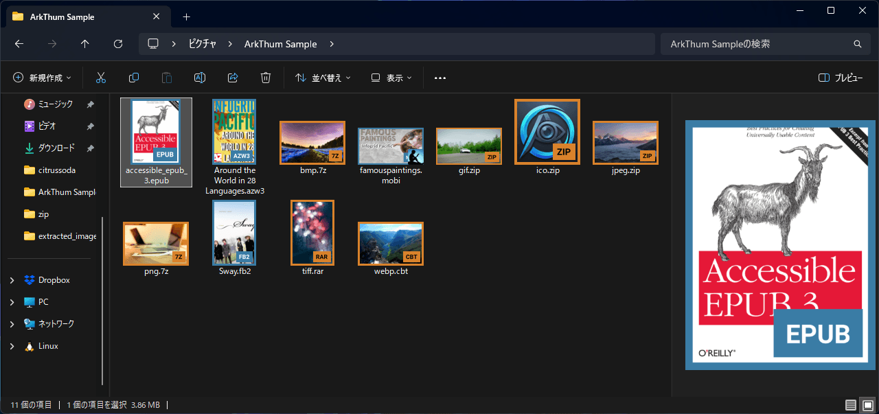 ArcThumb の overlay 機能で、アーカイブと画像ファイルが枠線とラベルで区別されている Explorer の表示
